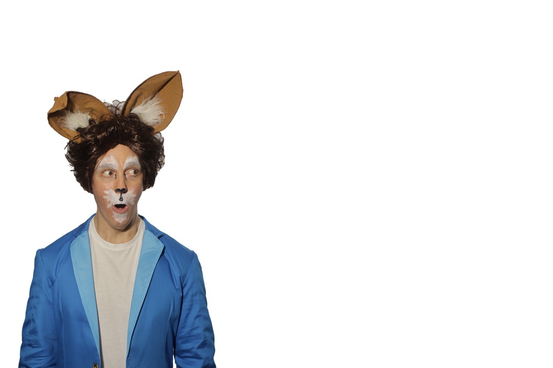 Peter Rabbit white Background
